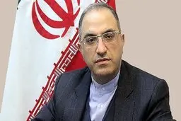 شاوردیان: نیروهای مسلح منافع کشور را در مرزها تامین می کنند
