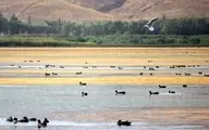 ایران بدون تالاب‌ها چه چیزی کم دارد؟ | چشم‌های خشک