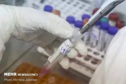 ماجرای شایعه‌ سازی ضدانقلاب علیه سپاه پاسداران
