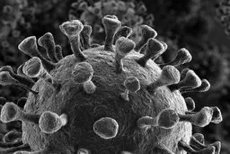 حمله مرموز این ویروس به جسم انسان!