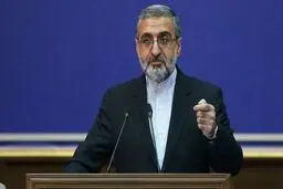 حدود 85 هزار زندانی از مرخصی کرونا بهره‌مند شده‌اند