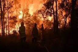١١ هکتار از میانکاله سوخت | مهار نهمین آتش‌سوزی پناهگاه حیات وحش مازندران