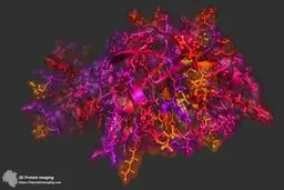 چیزهایی که باید درباره ویروس کرونا بدانید