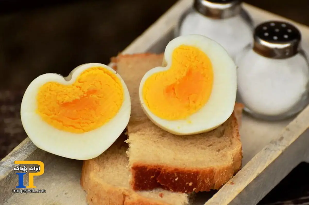 مصرف چند تخم‌مرغ در هفته توصیه می شود؟ | چه میزان تخم مرغ مصرف کنیم؟