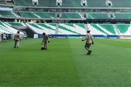 لطفاً روی چمن نروید!