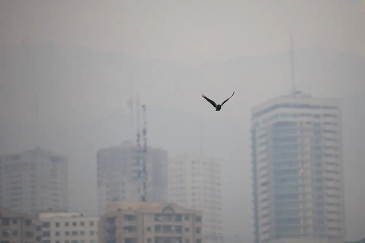  وضعیت آلودگی هوا در شهر تهران بسیار ناسالم است