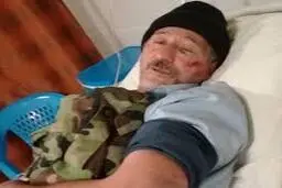 
 چوب | ۲ جنگلبان مورد ضرب و شتم قرار گرفتند
