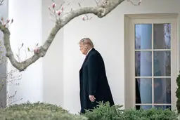 اثر سقوط نفت بـر شانس ترامپ
