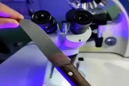 آنچه در جلوی چشمانمان است ولی نمی‌بینیم! + ویدیو
