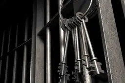 دستگیری سارق زن مرد نمای بزرگراه امام علی(ع)