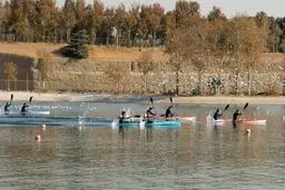 چند کشور داوطلب برپایی اردو در ایران شدند 