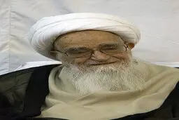 اجازه آیت الله صافی در مصرف سهم امام برای مقابله با کرونا