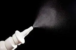 محافظت در معرض خطر ابتلا به کرونا با کمک یک اسپری بینی جدید