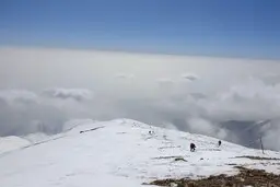 
 کوهنوردان گرفتار در ارتفاعات توچال نجات پیداکردند
