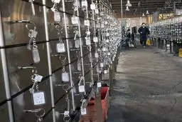 توضیح پلیس درباره سرقت از صندوق امانت یکی از شعب بانک‌ ملی| کارکنان در این حادثه نقش داشتند + ویدئو