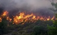 آتش‌سوزی با حضور نیروهای مردمی بندرترکمن مهار شد | مردم شیردل به کمک محیط زیست شتافتند +تصویر