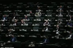 ممنوعیت ادامه تحصیل و داشتن تابعیت مضاعف برای نمایندگان