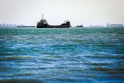 
صید صنعتی در خلیج فارس ممنوع شد/ صیادان مسلح می‌شوند
