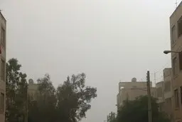 پدیده  بی‌سابقه در تهران |  احتمال تداوم  مهمان ناخوانده وجوددارد