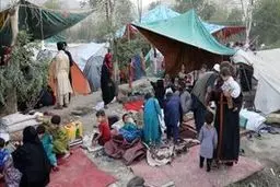 آمریکا بخشی از پناهجویان افغان را به اوگاندا می فرستد