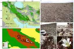 کشف جنس گیاهی جدیدی برای دنیای گیاه‌شناسی