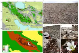 کشف جنس گیاهی جدیدی برای دنیای گیاه‌شناسی