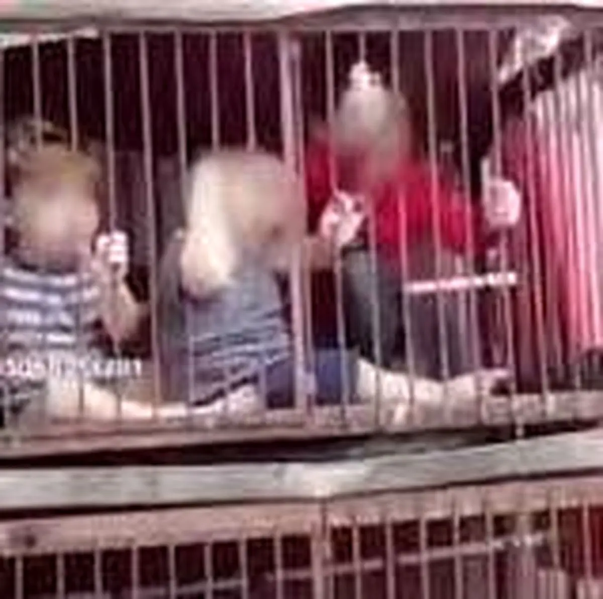 تلویزیون فرانسه دست صهیونیست‌ها را رو کرد! | ویدئو کودکان اسیر اسرائیلی فیک است +ویدئو