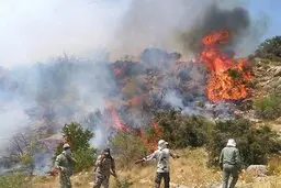 
 آتش سوزی  |  پارک ملی سالوک اسفراین دچار آتش‌سوزی شد 
