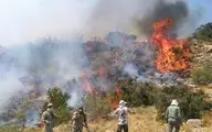 
 آتش سوزی  |  پارک ملی سالوک اسفراین دچار آتش‌سوزی شد 
