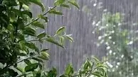 بارش پراکنده باران در برخی از نقاط کشور | پیش‌بینی رعدوبرق و وزش باد