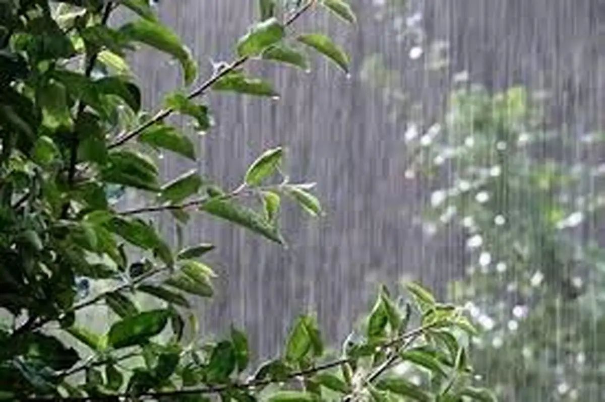 بارش پراکنده باران در برخی از نقاط کشور | پیش‌بینی رعدوبرق و وزش باد