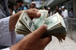  ارائه برنامه مکتوب حذف ارز ترجیحی توسط دولت به مجلس
