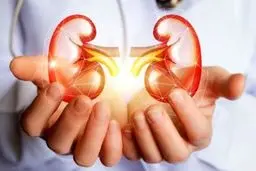 درمان و رفع سنگ کلیه با این نوشیدنی ها