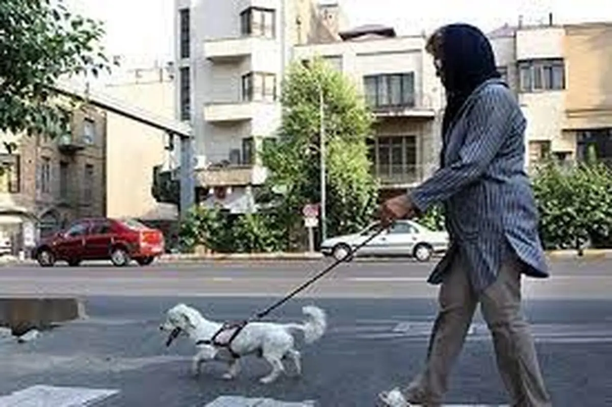 موج جدید ممنوعیت سگ‌گردانی در ایران | ۶ شهر در لیست برخورد قضایی برای سگ گردانی

