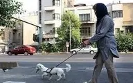 موج جدید ممنوعیت سگ‌گردانی در ایران | ۶ شهر در لیست برخورد قضایی برای سگ گردانی

