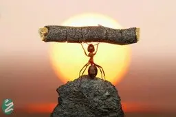 ۷ راهکار طلایی برای افزایش اعتمادبه نفس هنگام سخنرانی