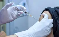 تزریق دز سوم واکسن کرونا در "فشافویه" براساس خوداظهاری معتادان