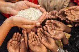 کرونا به «جنگ گرسنگان» تبدیل می‌شود؟
