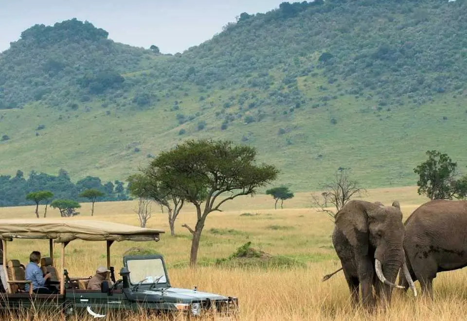 تور کنیا نوروز 1405؛ بهترین فصل دیدن حیات‌وحش از نزدیک