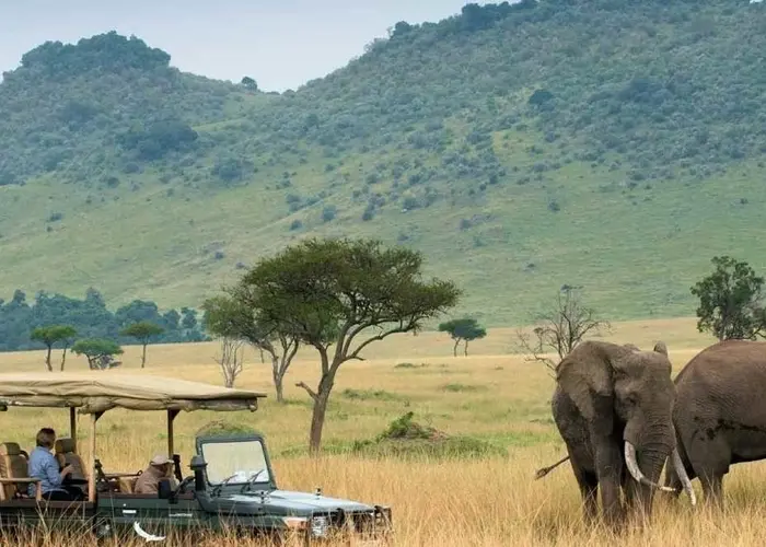 تور کنیا نوروز 1405؛ بهترین فصل دیدن حیات‌وحش از نزدیک