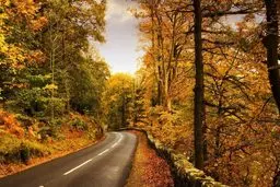 پاییزِ آلاشت | رنگ‌هایی که جان می‌گیرند +ویدئو