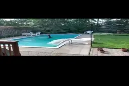 آب‌تنی گوزن در استخر حیاط در کانادا+فیلم