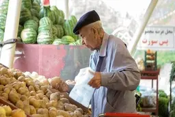 وزیر جهاد کشاورزی: قیمت سیب‌زمینی امروز در تهران بین ۳۶ تا ۳۹ هزار تومان است
