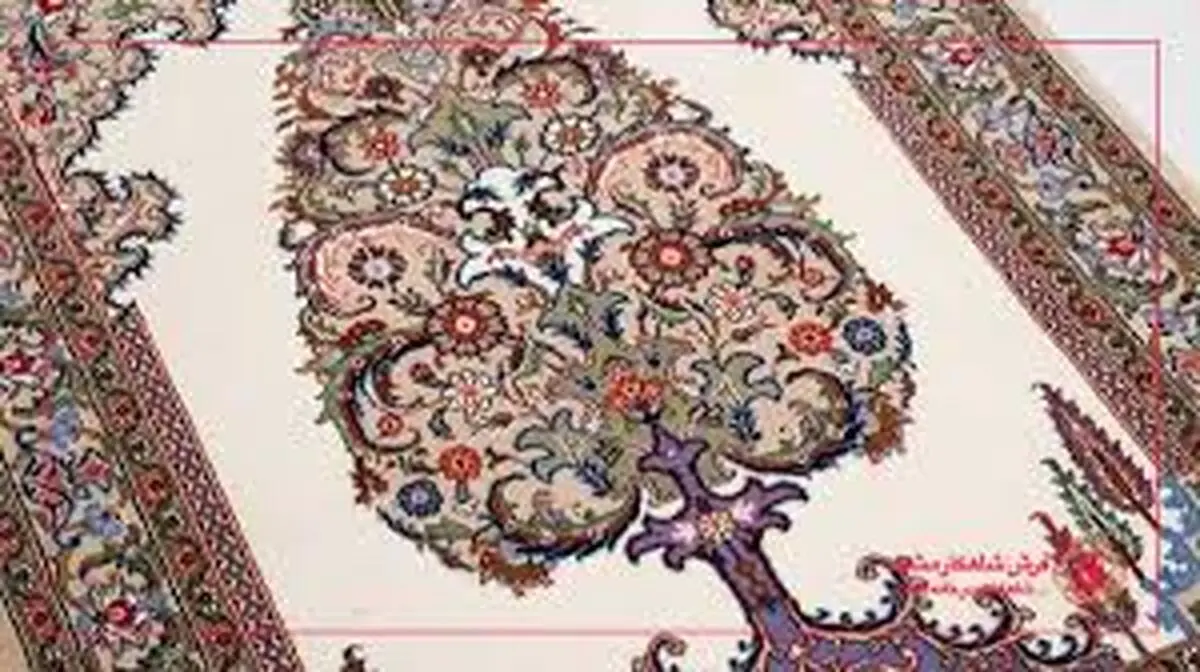 داستان واقعی بته جقه که کمتر کسی می‌داند | سرو ابرکوه یا بته جقه؟ +ویدئو