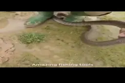 شگفت‌انگیزترین شیوه ماهیگیری که هرگز ندیده‌اید! + ویدئو