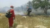 سوختن بیش از ۱۵۰ هکتار جنگل و مرتع گچساران در آتش 