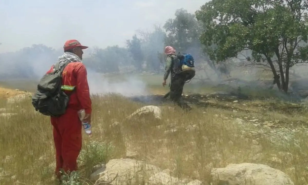 سوختن بیش از ۱۵۰ هکتار جنگل و مرتع گچساران در آتش 