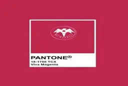 بهترین رنگ مانتو برای سال 1402 چیست؟ | معرفی رنگ سال 2023 +ویدئو