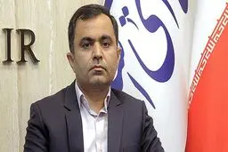 عضو کمیسیون اقتصادی مجلس: دولت جایگزینی برای حذف ارز ترجیحی ندارد