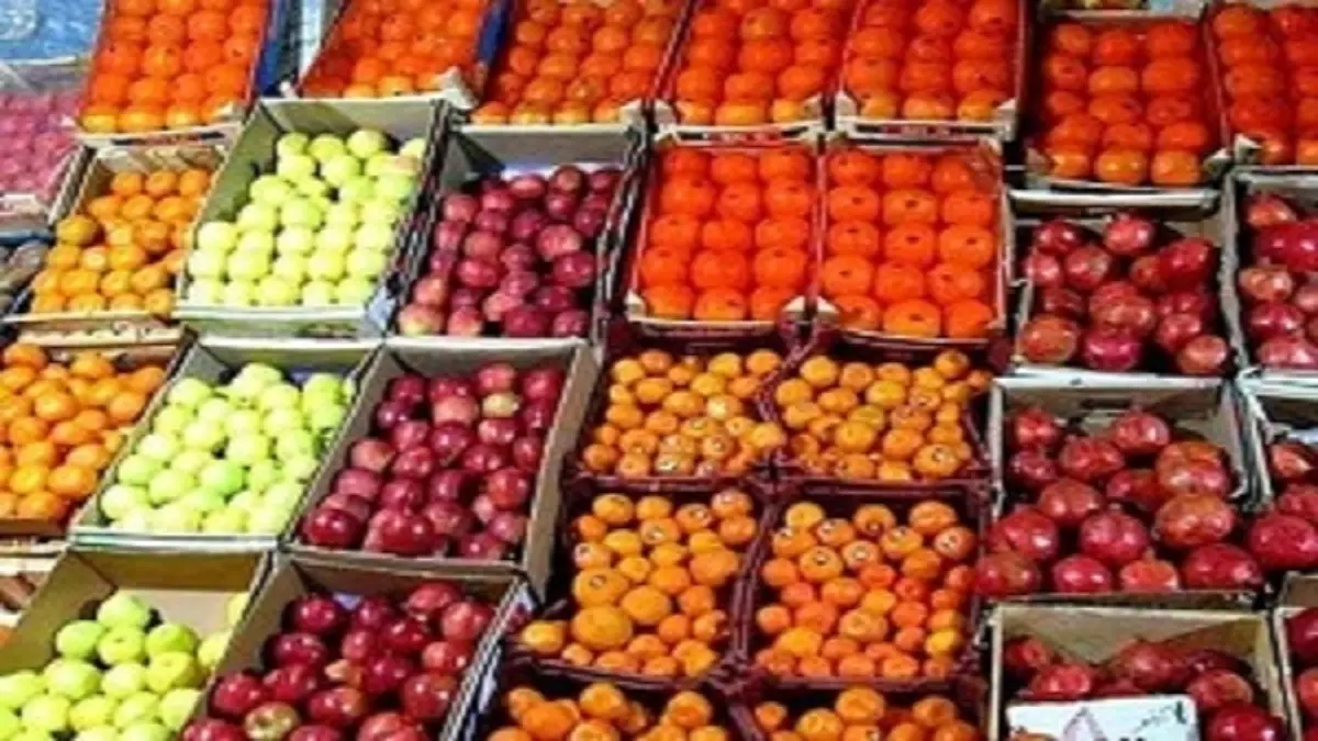 قیمت میوه‌های تنظیم بازاری شب عید اعلام شد | پرتقال ۹۰۰۰ و سیب قرمز۱۱۰۰۰ تومان